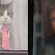 Images: Twitter/Getty